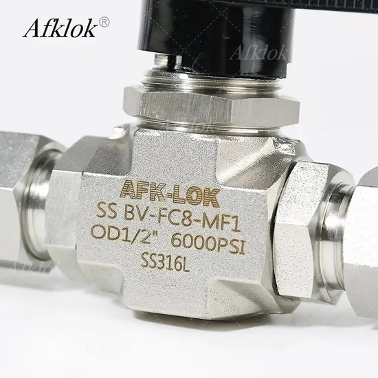 413bar One-Way Valve for Environmental and Heating Processes 6000 Psig